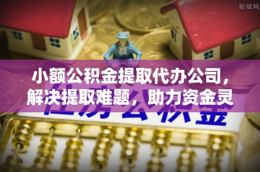 桑珠孜小额公积金提取代办公司，解决提取难题，助力资金灵活使用