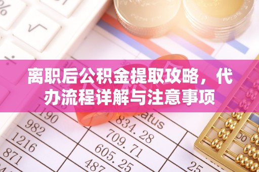 桑珠孜离职后公积金提取攻略，代办流程详解与注意事项