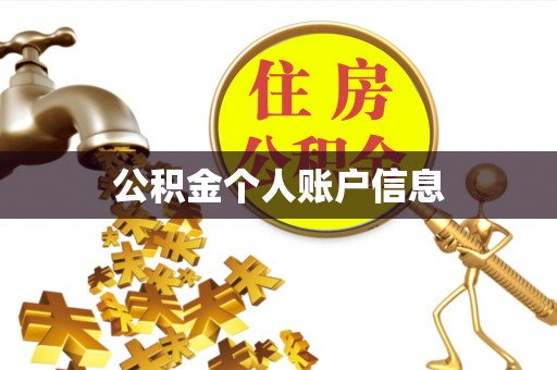 桑珠孜公积金个人账户信息