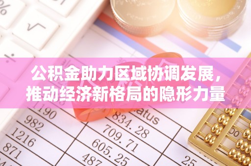 桑珠孜公积金助力区域协调发展，推动经济新格局的隐形力量