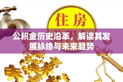 桑珠孜公积金历史沿革，解读其发展脉络与未来趋势