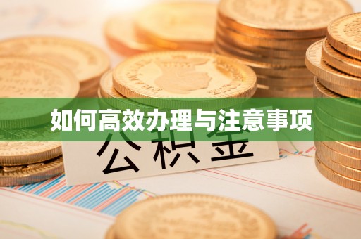 桑珠孜如何高效办理与注意事项