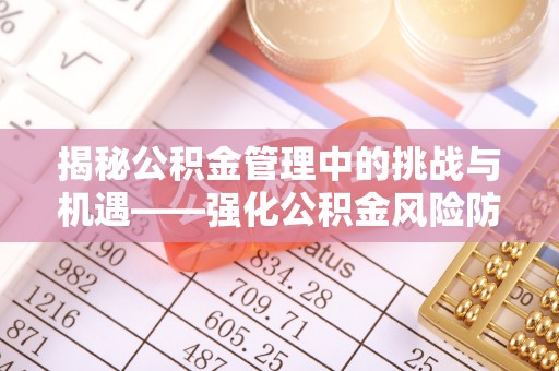 桑珠孜揭秘公积金管理中的挑战与机遇——强化公积金风险防控的多维策略