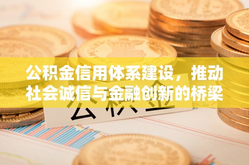 桑珠孜公积金信用体系建设，推动社会诚信与金融创新的桥梁