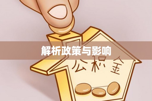 桑珠孜解析政策与影响