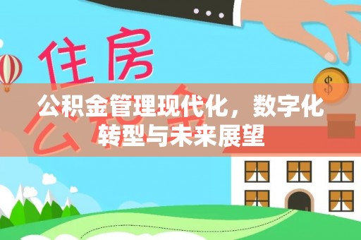 桑珠孜公积金管理现代化，数字化转型与未来展望