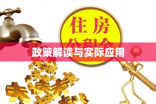 桑珠孜政策解读与实际应用