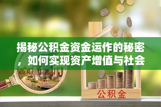 桑珠孜揭秘公积金资金运作的秘密，如何实现资产增值与社会福利双赢？