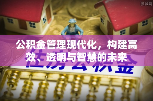 桑珠孜公积金管理现代化，构建高效、透明与智慧的未来