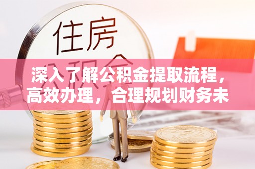 桑珠孜深入了解公积金提取流程，高效办理，合理规划财务未来