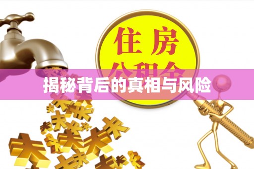 桑珠孜揭秘背后的真相与风险