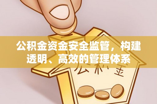桑珠孜公积金资金安全监管，构建透明、高效的管理体系