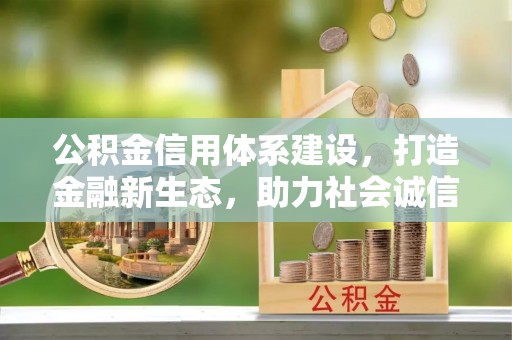 桑珠孜公积金信用体系建设，打造金融新生态，助力社会诚信发展