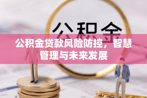 桑珠孜公积金贷款风险防控，智慧管理与未来发展