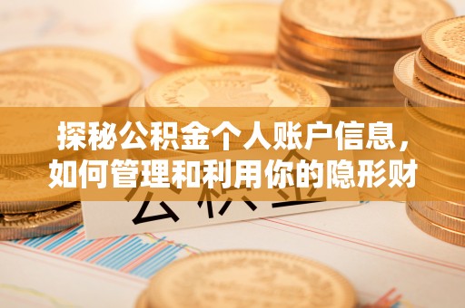 桑珠孜探秘公积金个人账户信息，如何管理和利用你的隐形财富