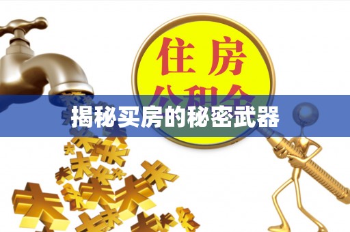 桑珠孜揭秘买房的秘密武器