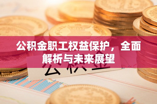 桑珠孜公积金职工权益保护，全面解析与未来展望