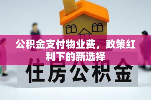 桑珠孜公积金支付物业费，政策红利下的新选择