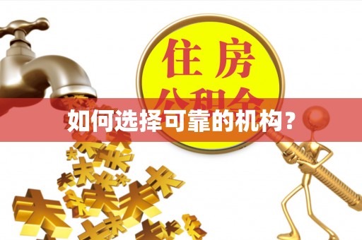 桑珠孜如何选择可靠的机构？