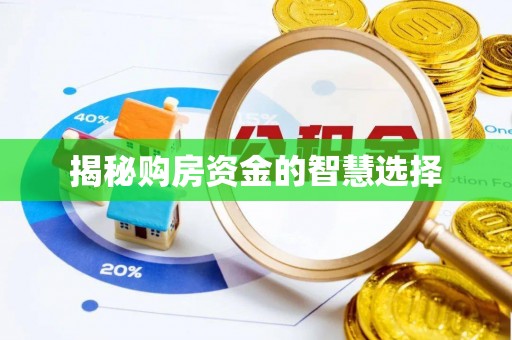 桑珠孜揭秘购房资金的智慧选择