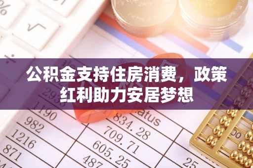 桑珠孜公积金支持住房消费，政策红利助力安居梦想