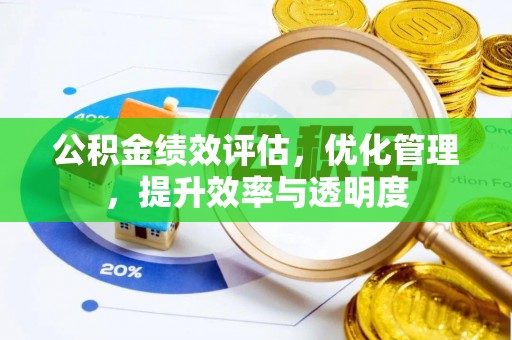 桑珠孜公积金绩效评估，优化管理，提升效率与透明度
