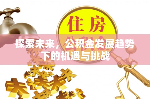 桑珠孜探索未来，公积金发展趋势下的机遇与挑战
