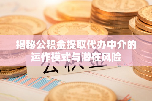 桑珠孜揭秘公积金提取代办中介的运作模式与潜在风险
