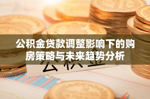 桑珠孜公积金贷款调整影响下的购房策略与未来趋势分析