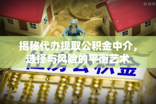 桑珠孜揭秘代办提取公积金中介，选择与风险的平衡艺术