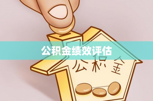 桑珠孜公积金绩效评估