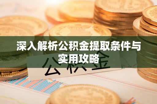 桑珠孜深入解析公积金提取条件与实用攻略