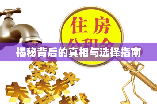 桑珠孜揭秘背后的真相与选择指南