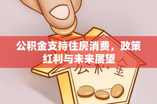 桑珠孜公积金支持住房消费，政策红利与未来展望