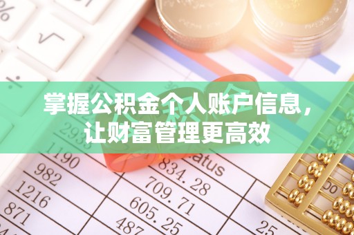 桑珠孜掌握公积金个人账户信息，让财富管理更高效