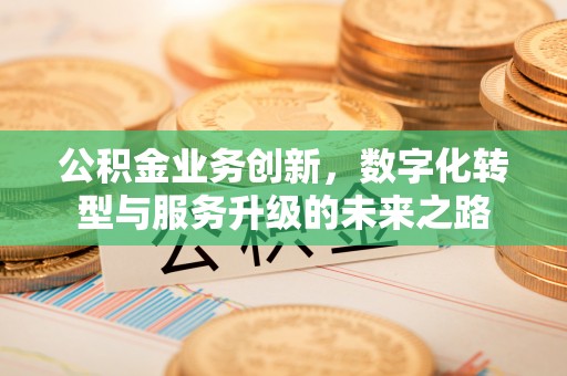 桑珠孜公积金业务创新，数字化转型与服务升级的未来之路