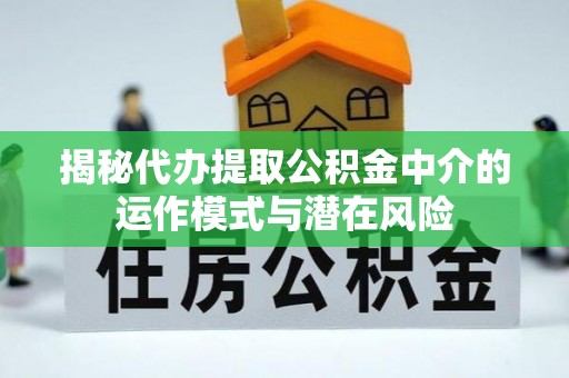 桑珠孜揭秘代办提取公积金中介的运作模式与潜在风险