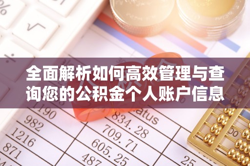桑珠孜全面解析如何高效管理与查询您的公积金个人账户信息