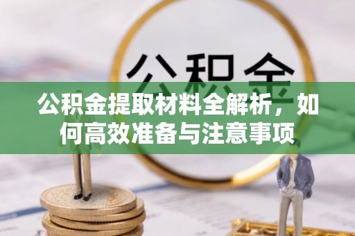 桑珠孜公积金提取材料全解析，如何高效准备与注意事项