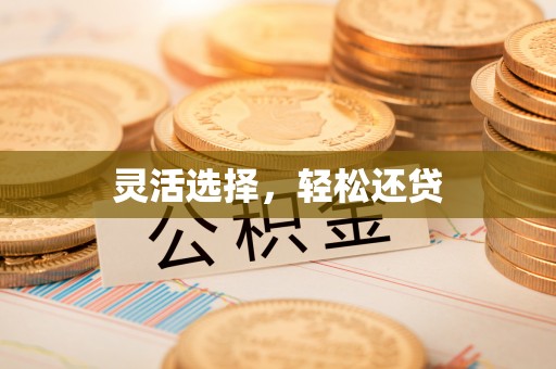桑珠孜灵活选择，轻松还贷