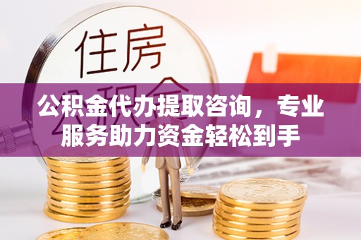 桑珠孜公积金代办提取咨询，专业服务助力资金轻松到手