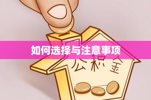 桑珠孜如何选择与注意事项