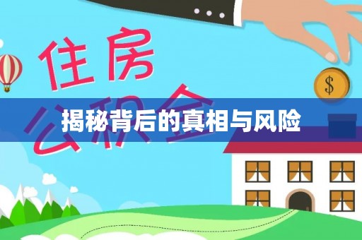 桑珠孜揭秘背后的真相与风险