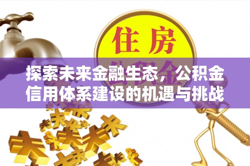 桑珠孜探索未来金融生态，公积金信用体系建设的机遇与挑战