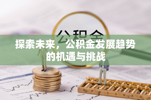 桑珠孜探索未来，公积金发展趋势的机遇与挑战