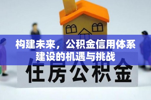 桑珠孜构建未来，公积金信用体系建设的机遇与挑战