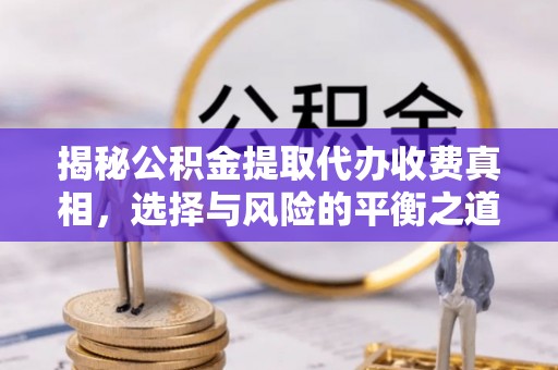 桑珠孜揭秘公积金提取代办收费真相，选择与风险的平衡之道