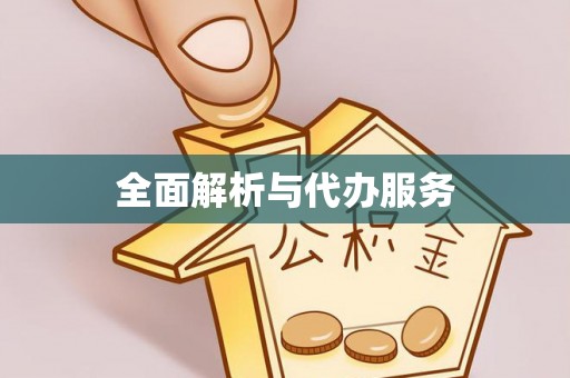桑珠孜全面解析与代办服务