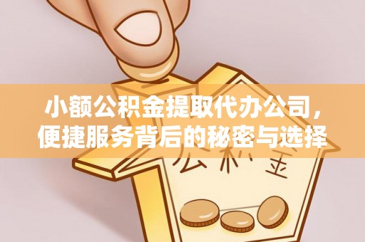 桑珠孜小额公积金提取代办公司，便捷服务背后的秘密与选择指南