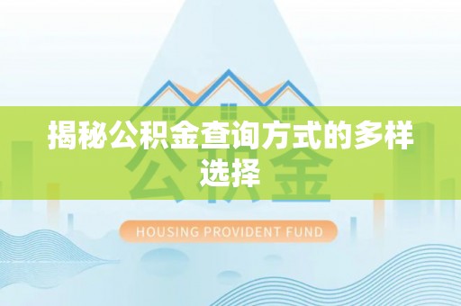 桑珠孜揭秘公积金查询方式的多样选择